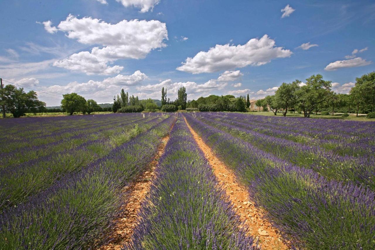 Gites Dans Mas En Pierres Robion en Luberon エクステリア 写真